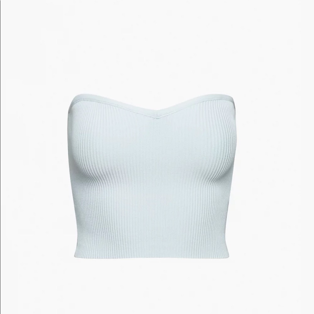 Aritzia Babaton sculpted knit tube top.